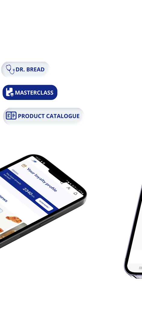 Lesaffre and Me app interface showing professional baking features and loyalty program