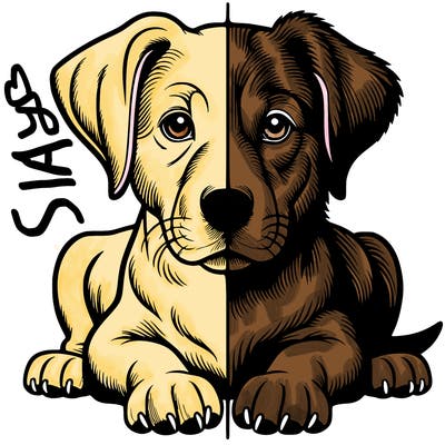 realistic dog split picture