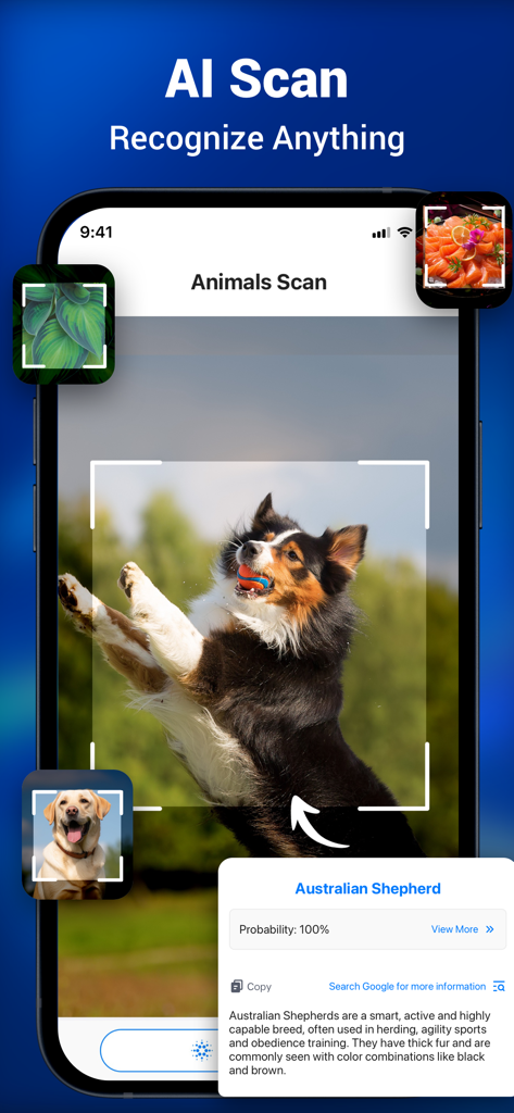 La interfaz de la aplicación Shark QR identificando un perro pastor australiano usando escaneo IA.