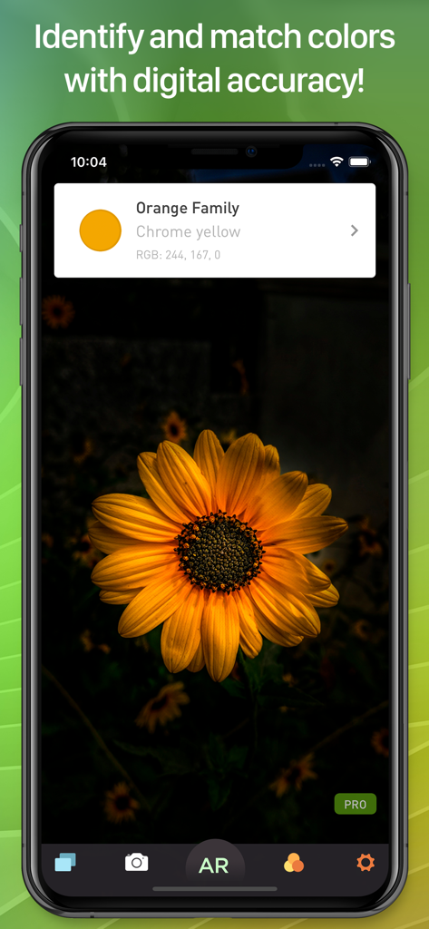 Nom de la couleur : interface de l’application AR Pro identifiant la couleur jaune chromée d’un tournesol