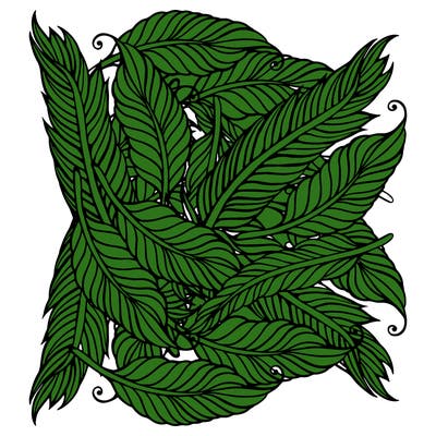 patterns_11