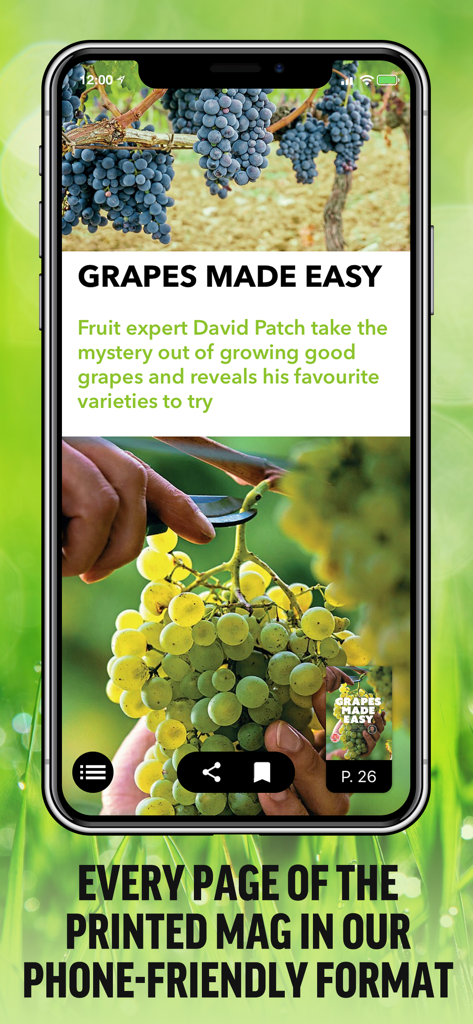 Kitchen Garden Magazine - Smartphone screen displaying the Kitchen Garden Magazine article Grapes Made Easy by David Patch.