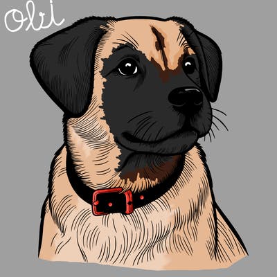 dog realistic