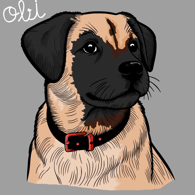 dog realistic