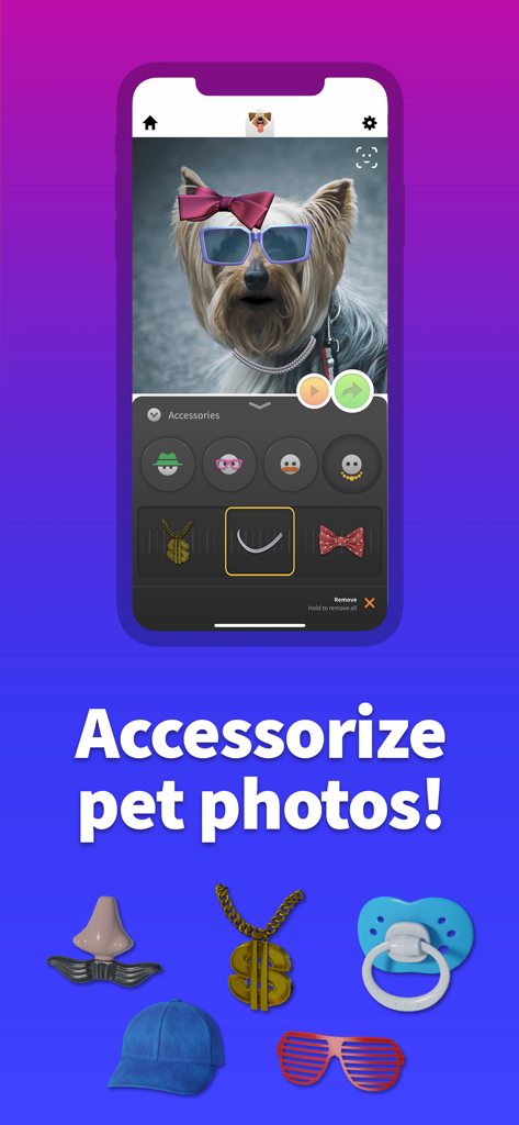 Pet Animator - Send eCards - Mobile app interface showing a dog decorated with virtual sunglasses and a bow with the text Accessorize pet photos