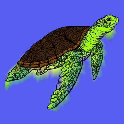 sea_life_03_new