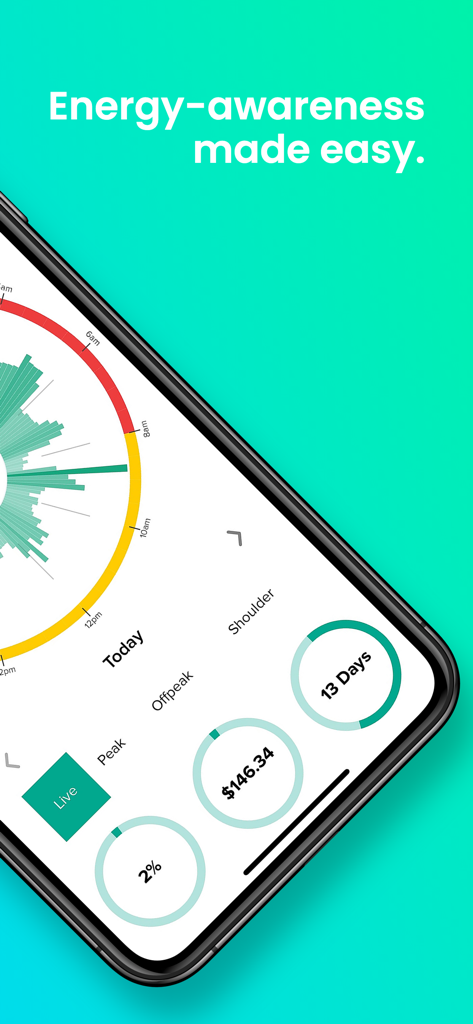 Emerald - Emerald App-Dashboard zeigt Echtzeit-Energieverbrauch und Kostenverfolgung mit einem kreisförmigen Diagramm.