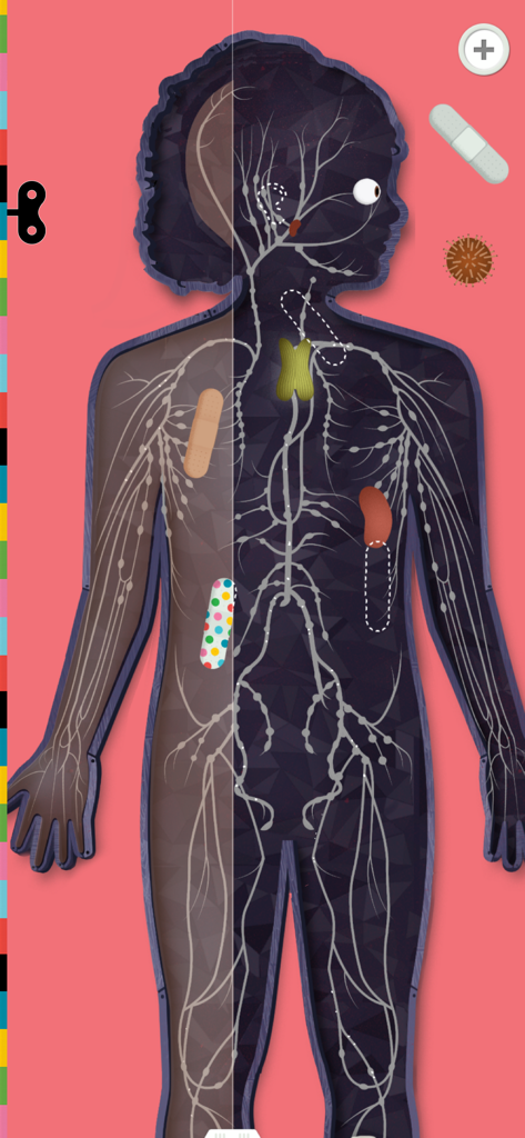 An interactive diagram of the human lymphatic and immune systems from the Human Body Lite app for kids.