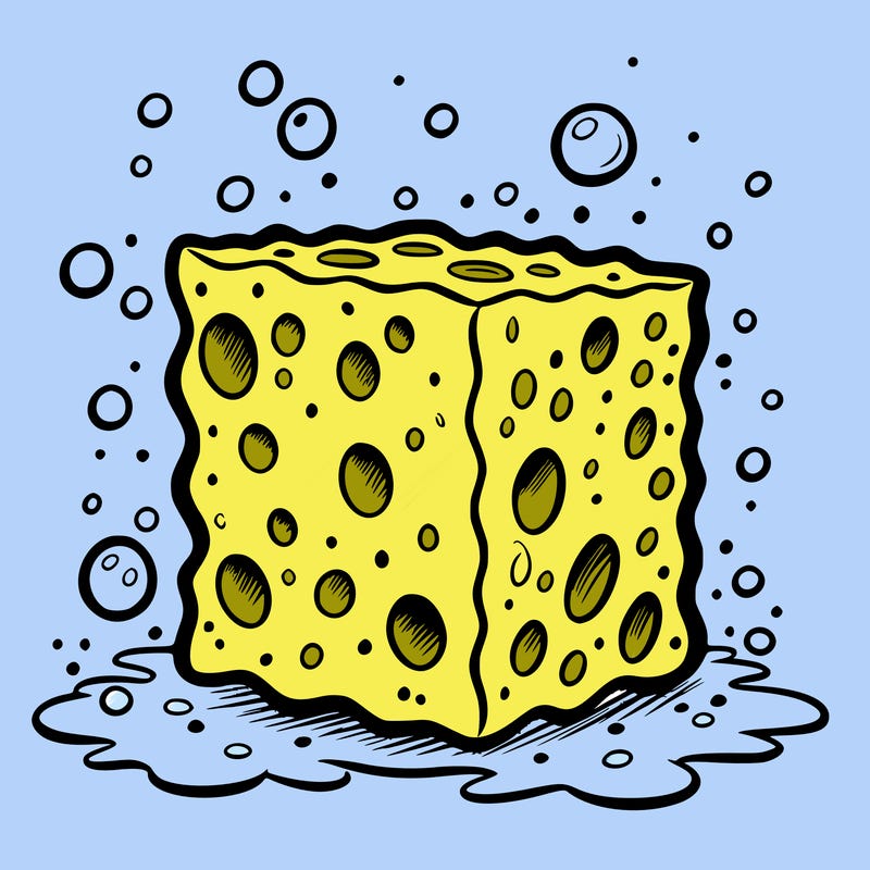 sponge