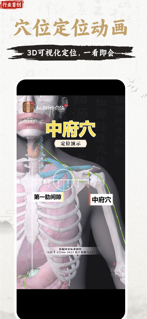 知源经络穴位-中医经络穴位针灸艾灸按摩养生舌诊中草药识别大全 - A 3D anatomical visualization showing the precise positioning of the Zhongfu acupuncture point on a human torso.