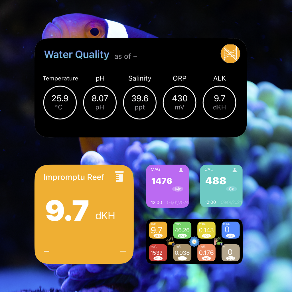 Reef Widgets - Reference App | MWM