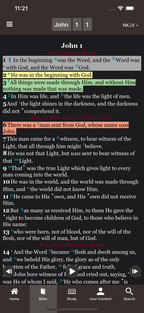Bible app displaying NKJV text of John 1 with verse highlights and audio playback controls