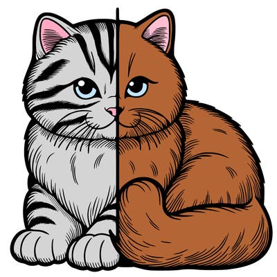 realistic split cat