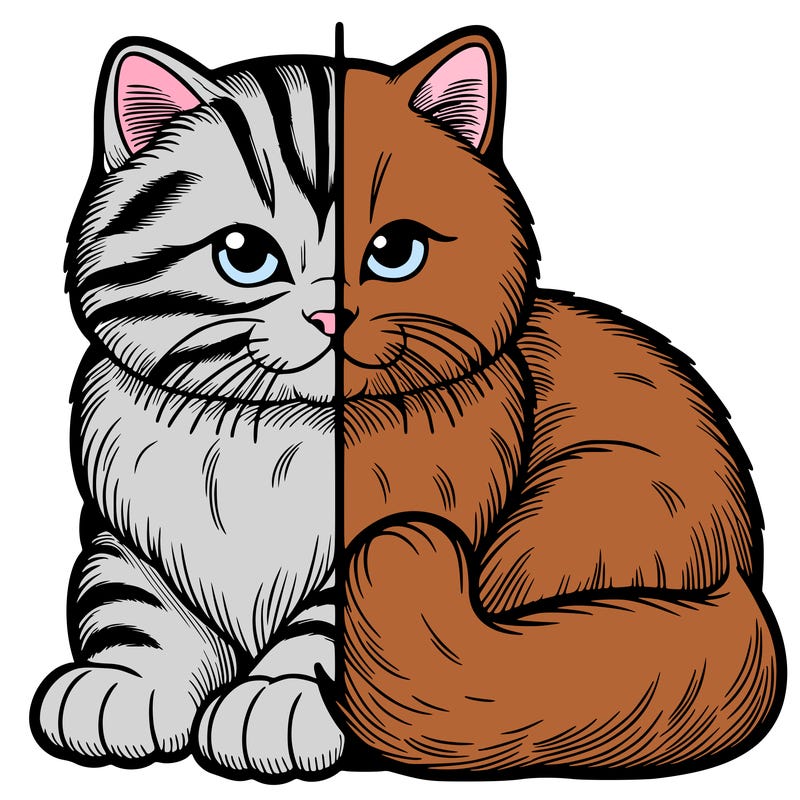 realistic split cat