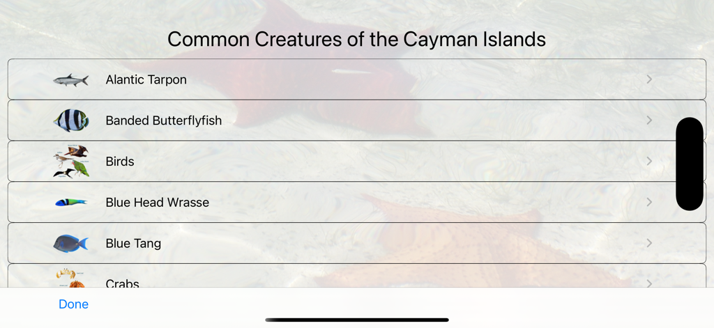 A menu in the Cayman Snorkel app listing common marine creatures and birds for identification including Atlantic Tarpon and Blue Tang