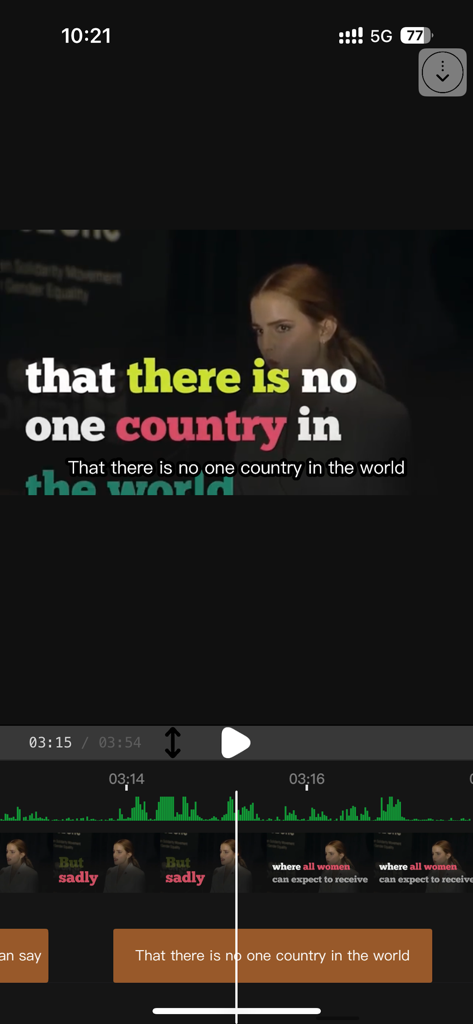 Build SRT - Interfaz de la aplicación Build SRT que muestra un reproductor de vídeo con subtítulos y una línea de tiempo para editar subtítulos