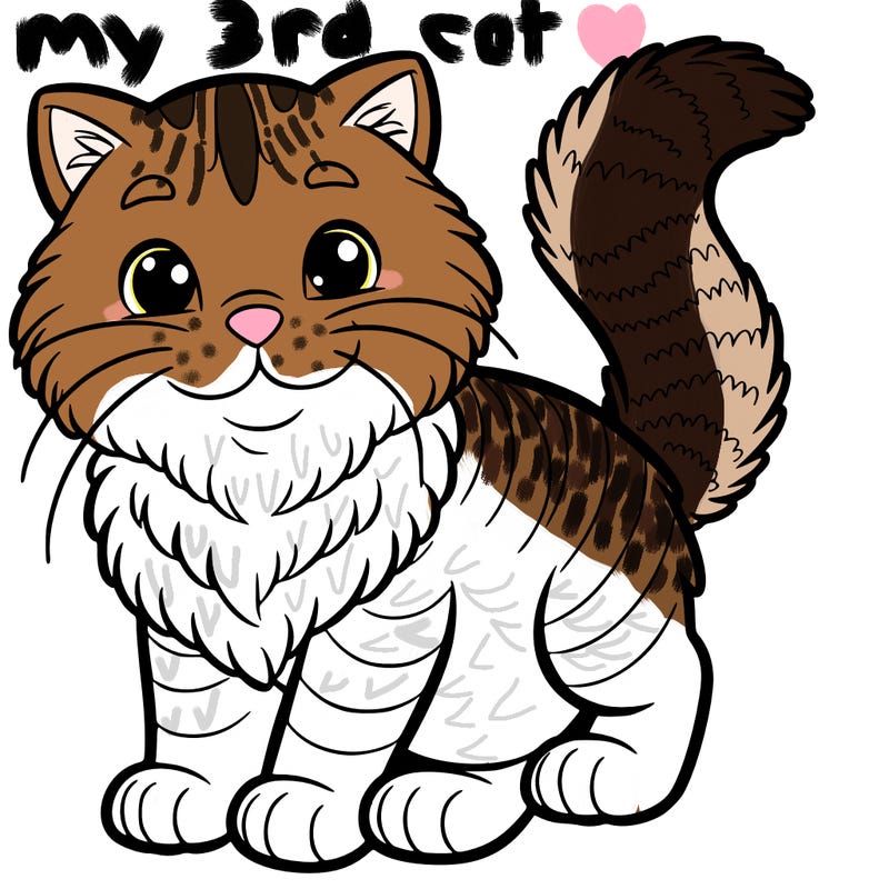 cat