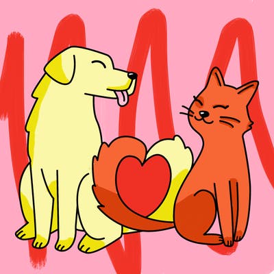 animals_22