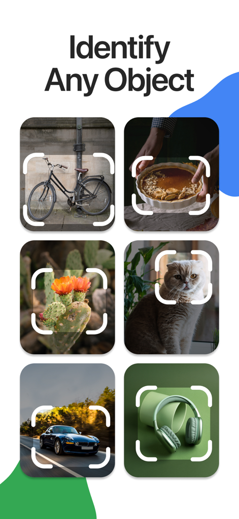Lens Scan: Identify Anything - Un collage que muestra a Lens Scan identificando diferentes objetos como una bicicleta, un gato, una planta y un coche mediante escaneo con IA.