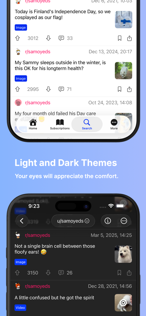Interface of Infinity for Reddit app showing both light and dark theme options