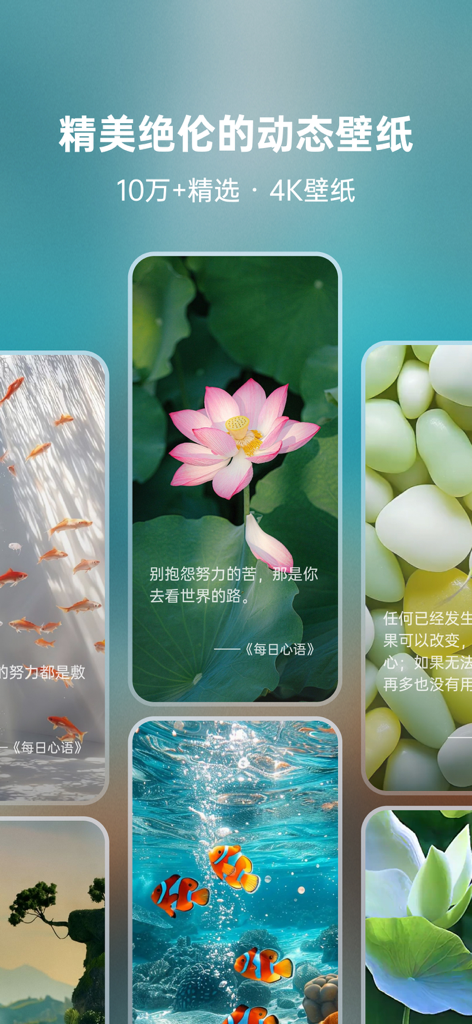 心语壁纸-超高清动态壁纸、金句语录 - Display of 4K aesthetic wallpapers with nature themes and motivational quotes.
