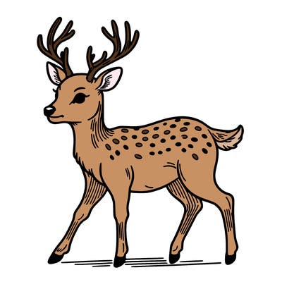 deer