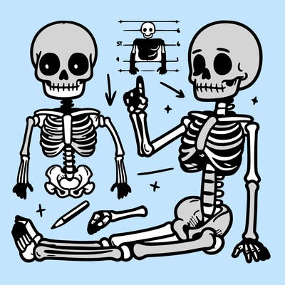 𝚜𝚔𝚎𝚕𝚎𝚝𝚘𝚗