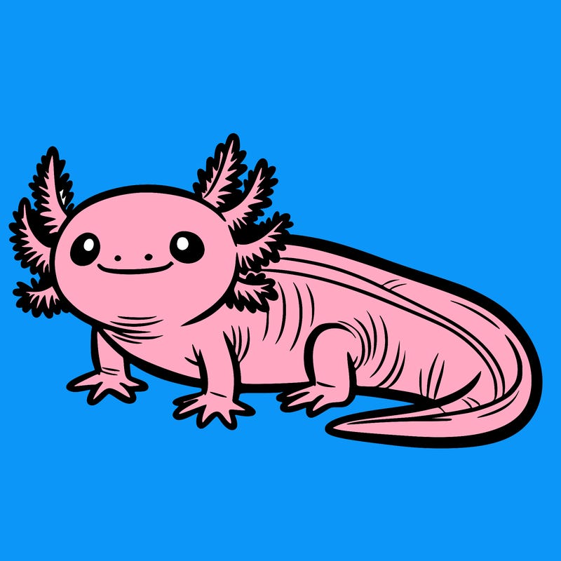 axolotl