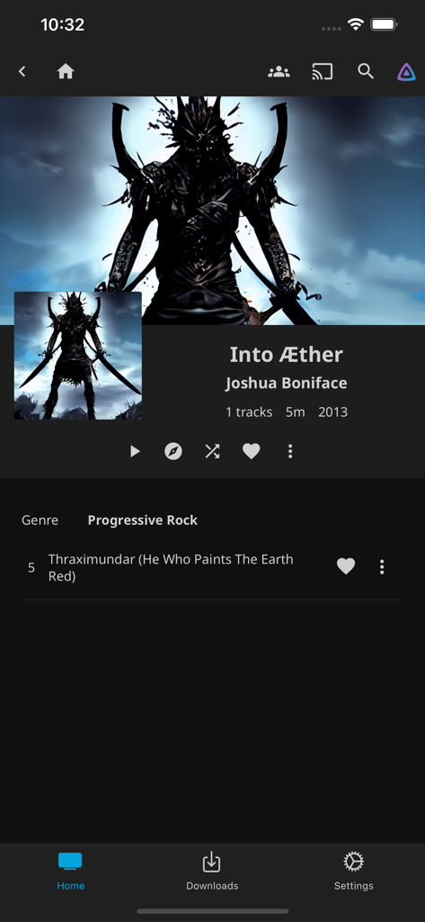 Vue d'album de musique dans l'application Jellyfin Mobile montrant la pochette de l'album et les détails des pistes.
