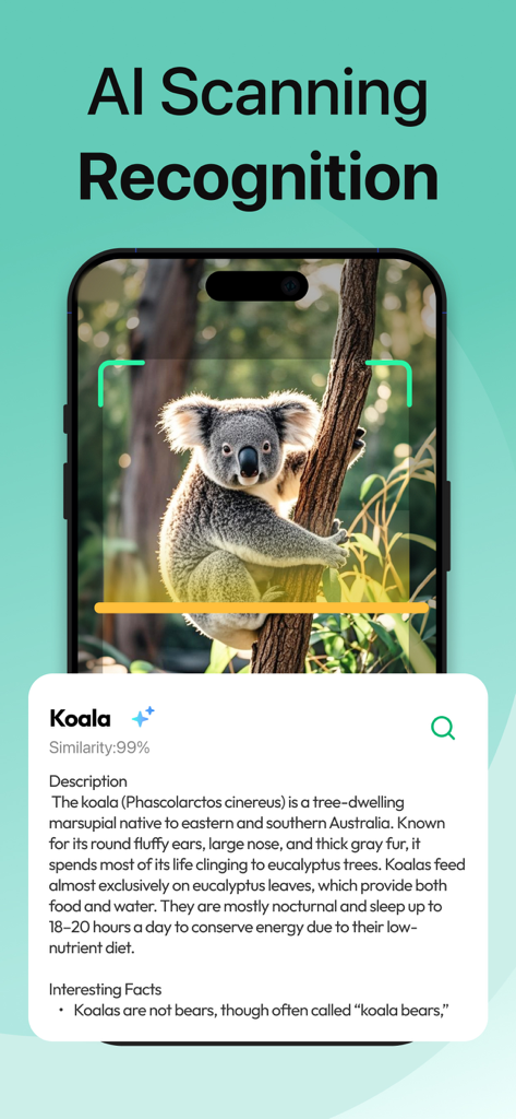 QR Code Master：Barcode Scanner - Interface of QR Code Master showing AI scanning recognition identifying a koala with educational facts
