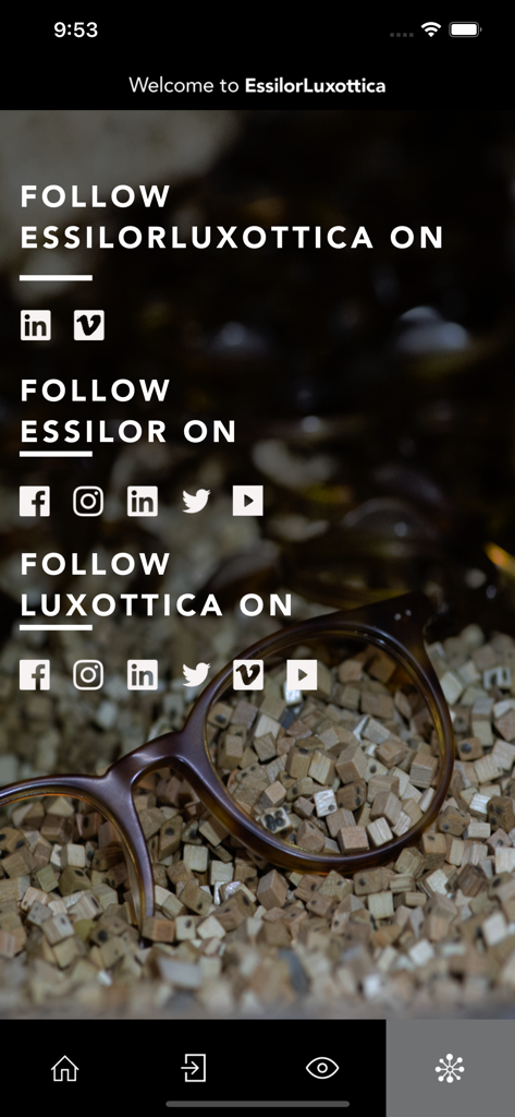 Welcome To EssilorLuxottica - Screen from the EssilorLuxottica app showing links to follow the group and its brands on various social media platforms
