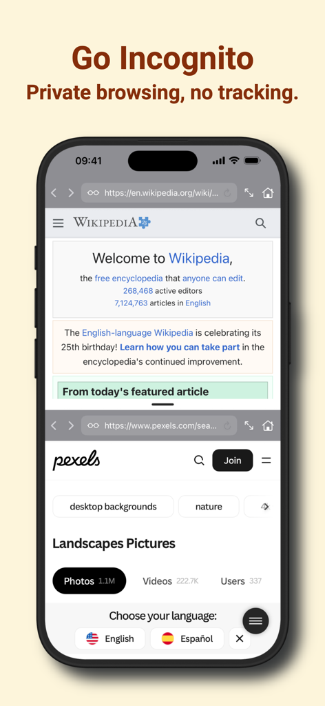 Split Screen Web Browser - Split screen browser on iPhone showing private browsing with two websites open at once