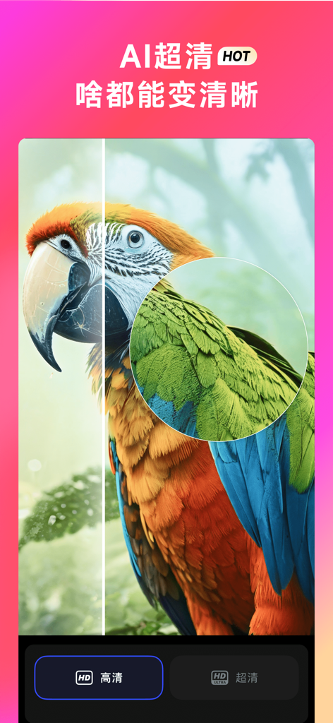 A comparison showing the WHEE app AI Ultra Clear feature sharpening a blurry image of a colorful parrot