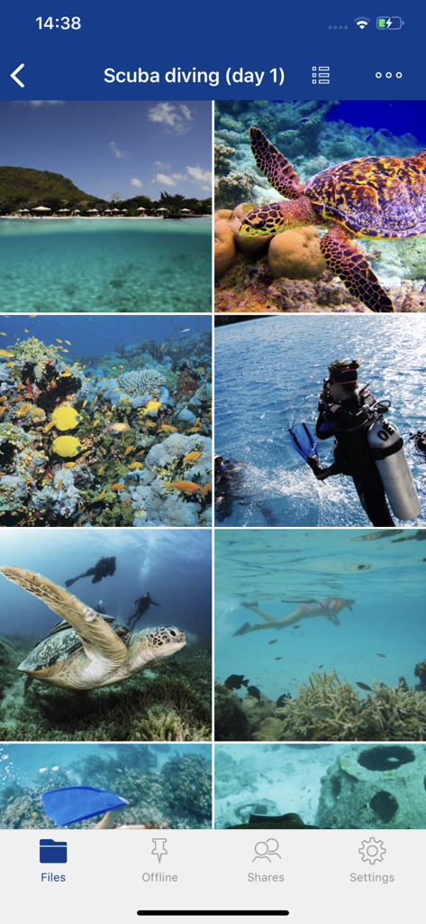 IONOS HiDrive app interface displaying a photo gallery folder titled Scuba diving day 1 with underwater images of sea turtles and divers