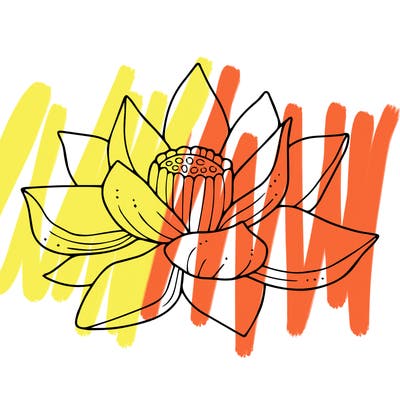 flowers_08