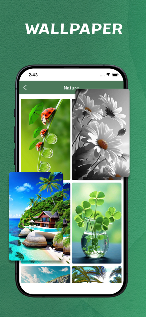 Dios Habla Hoy - offline - Captura de pantalla de la sección de fondos de pantalla en la aplicación Dios Habla Hoy con imágenes de la naturaleza como flores y mariquitas