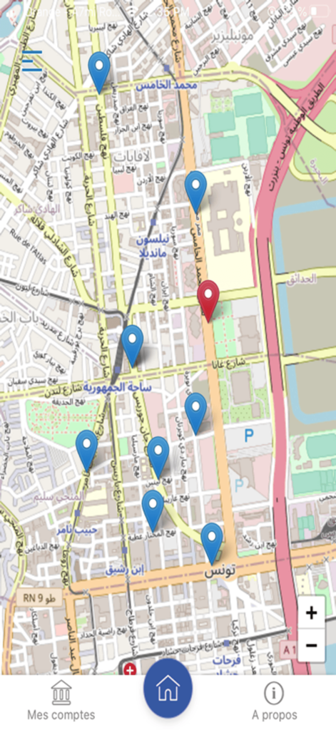 DigiCarte - Vista mappa con indicatori di posizione per le filiali e gli sportelli automatici di STB Bank in Tunisia