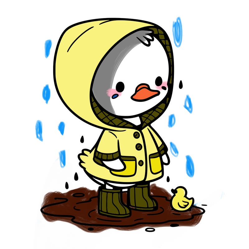 baby duck in a rain coat and boots, in a puddle while it’s raining