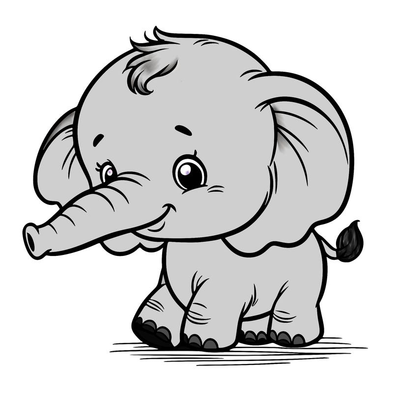 baby elephant