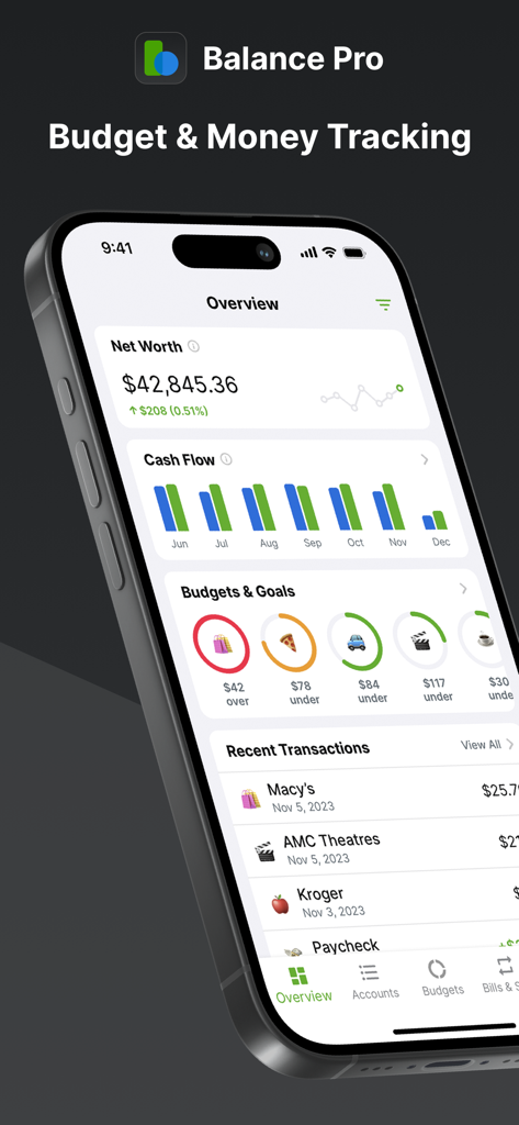 Balance Pro: Money & Budget - A mobile phone displaying the Balance Pro app overview with net worth and budget charts