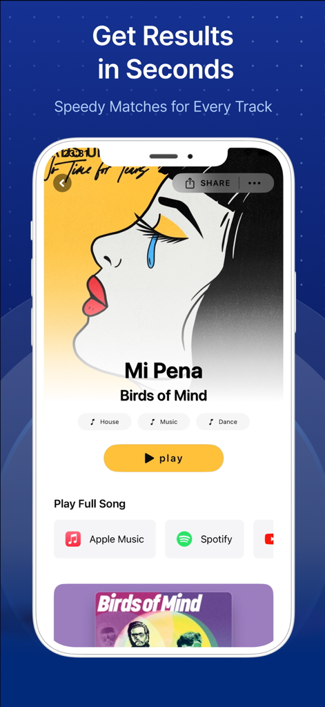 Song Finder Music Recognition - Mobile app screen displaying identified song details and streaming options for Apple Music and Spotify