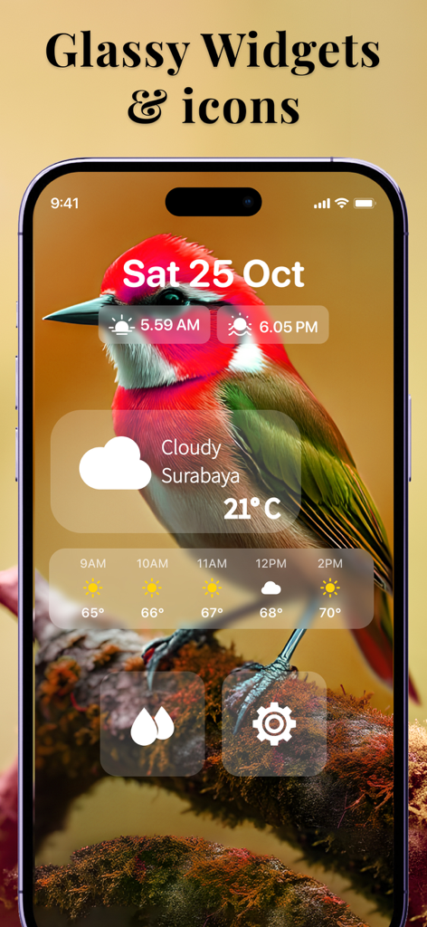 Lock Screen 26: Widgets & Icon - iPhone lock screen featuring aesthetic glassy weather widgets and a colorful bird wallpaper.