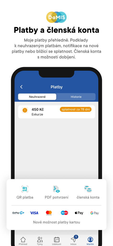 DaMISアプリのインターフェース。組織の支払いとメンバーアカウントを管理