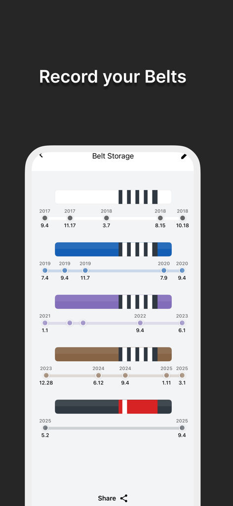 몇 년 동안의 주짓수 벨트 진행 상황 및 획득한 스트라이프를 시각적으로 보여주는 Post Black Belt 앱 내 화면