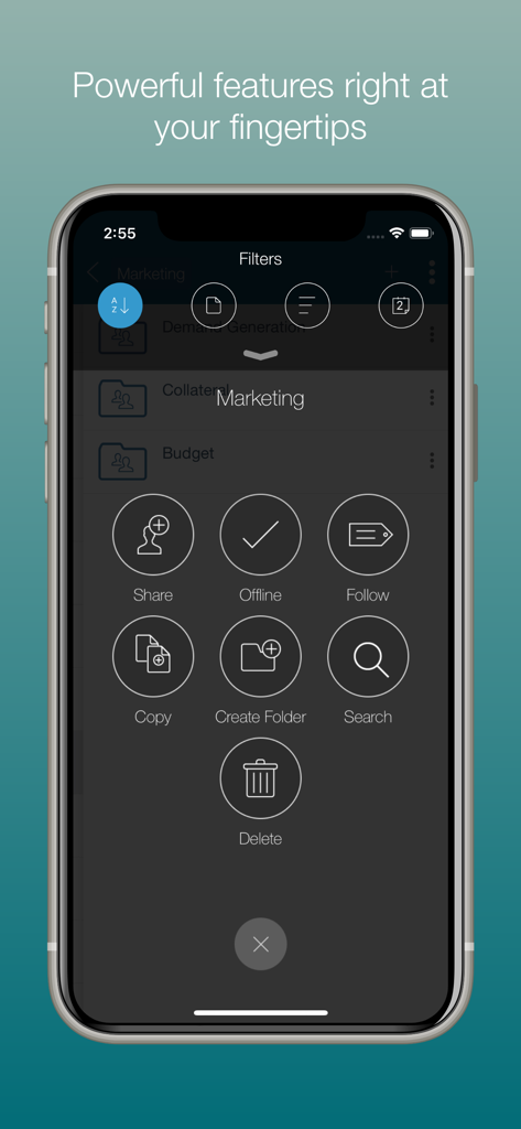 Syncplicity app interface on iPhone showing a menu of folder features including Share, Offline access, and Search