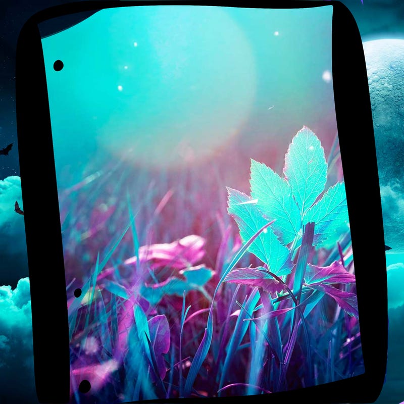 blank white page with nothing drawn on it