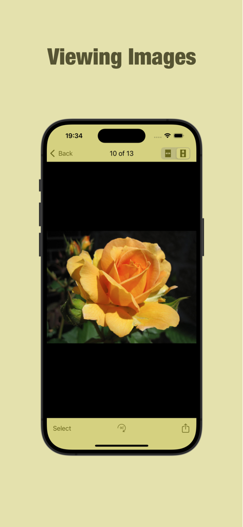 KeyAccess - Interfaz de la aplicación KeyAccess que muestra una imagen privada de una rosa amarilla.