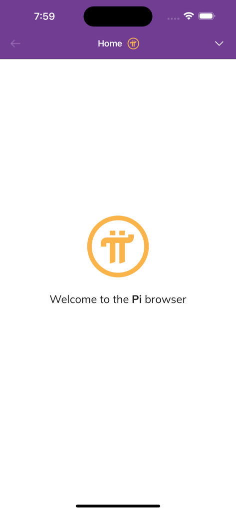 Pi Browser app welcome screen with logo