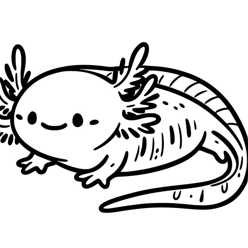 axolotl