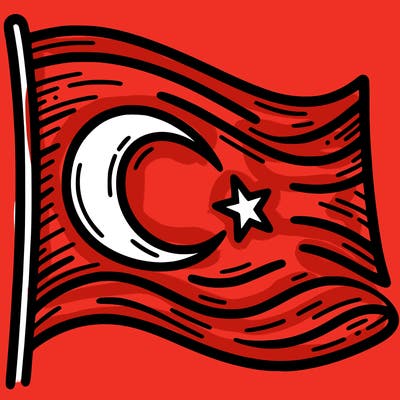 turkish bayraiği
